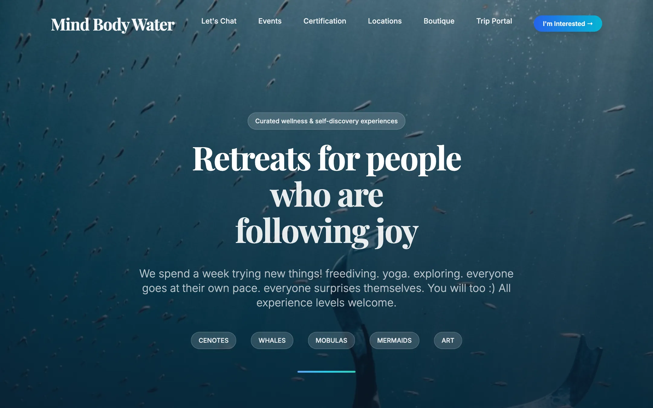Preview of Anthea's site